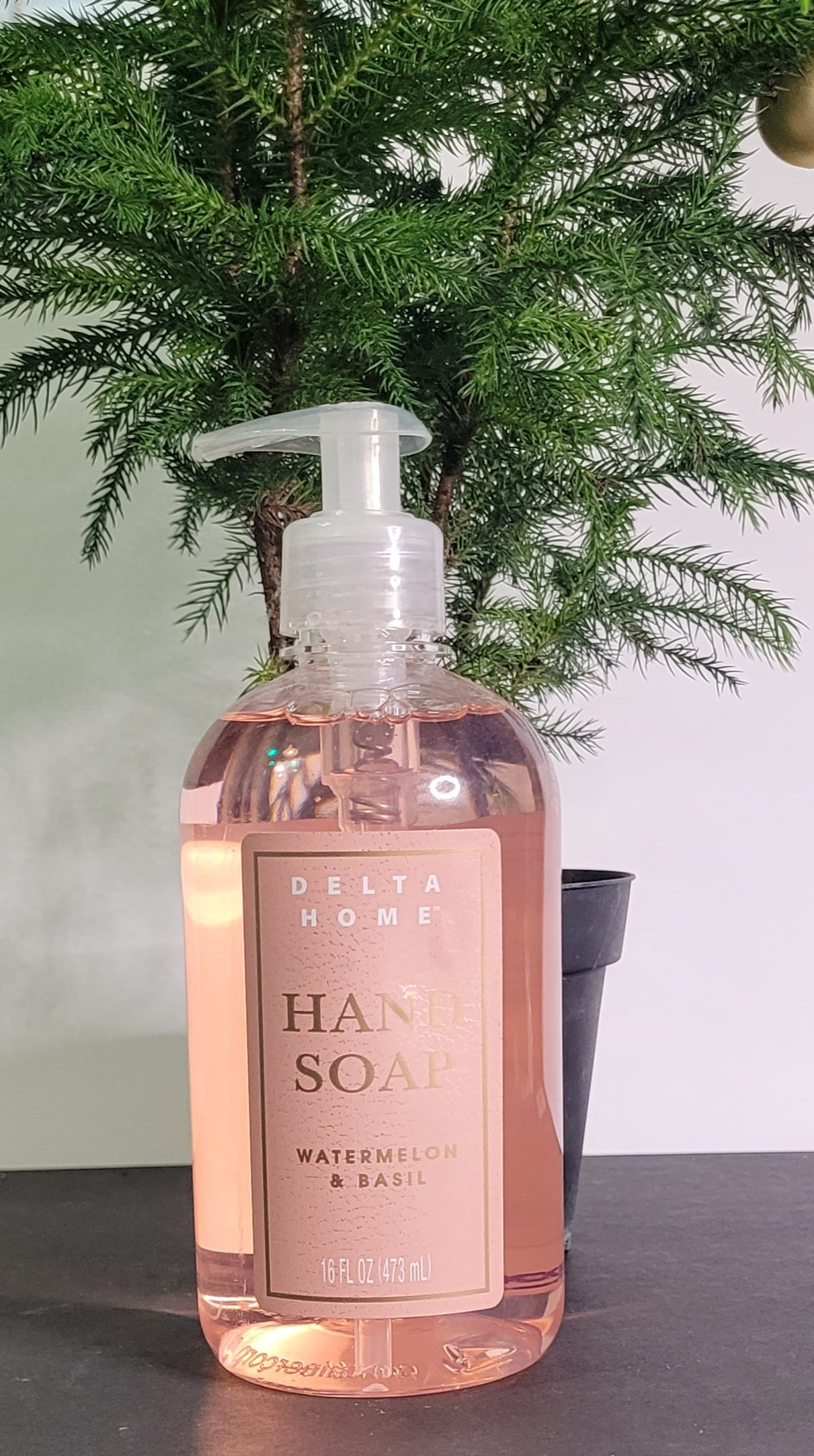 Hand Soap Watermelon & Basil 16oz