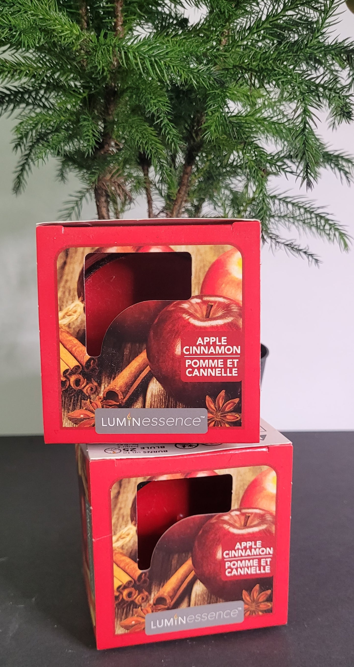 Apple Cinnamon Scented Candles Set of 2