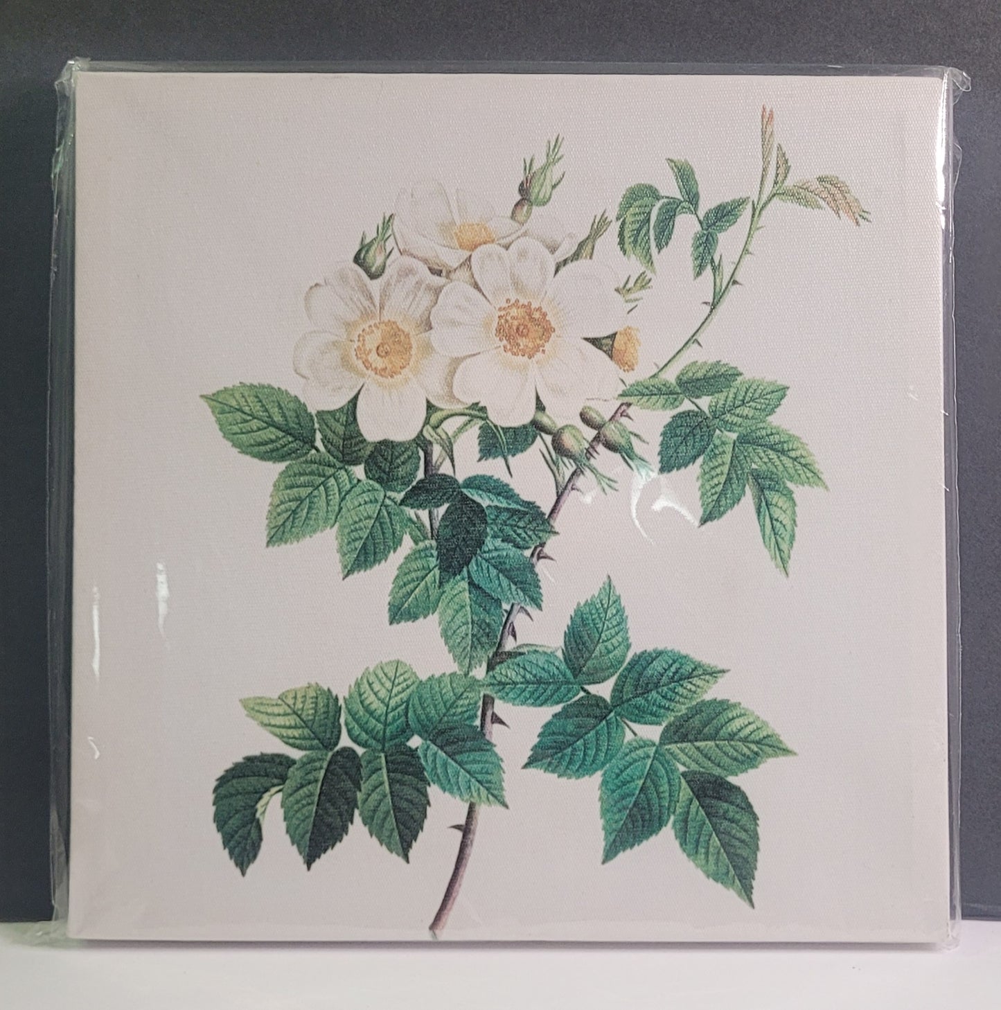 Wall Pictures 9×9×1 - All different styles to choose from...